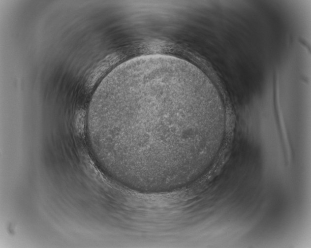 X0000103960010200810311625