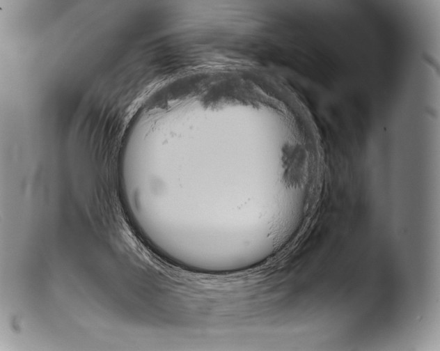 X0000103960011200810311625