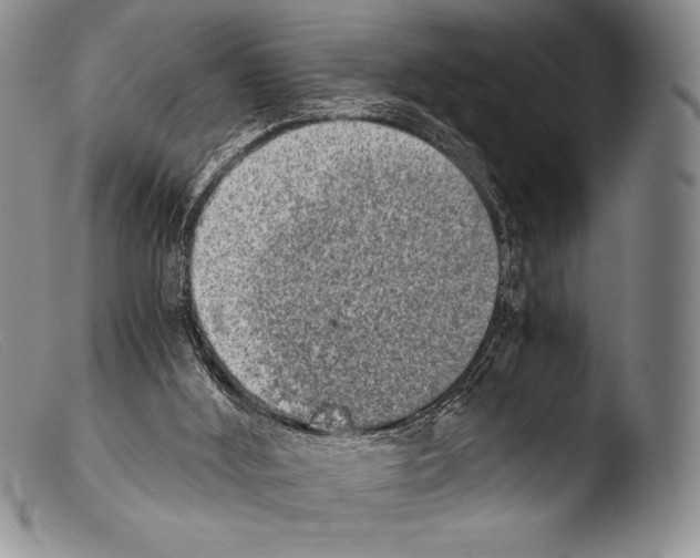 X0000103960012200810311625