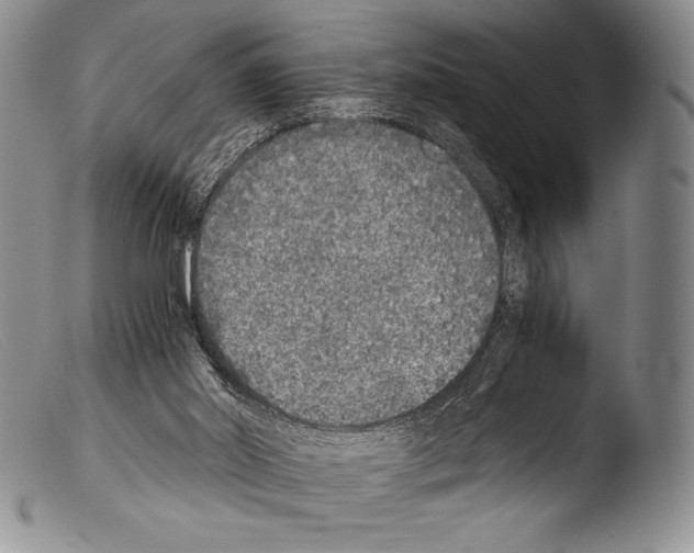 X0000103960014200810311625