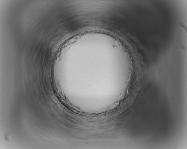 X0000103960015200810311625