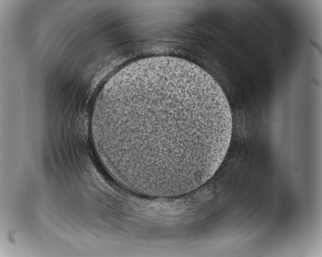 X0000103960016200810311625