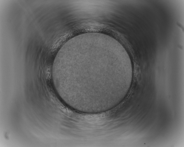 X0000103960017200810311625