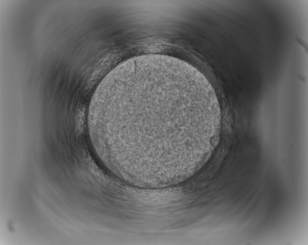 X0000103960018200810311625