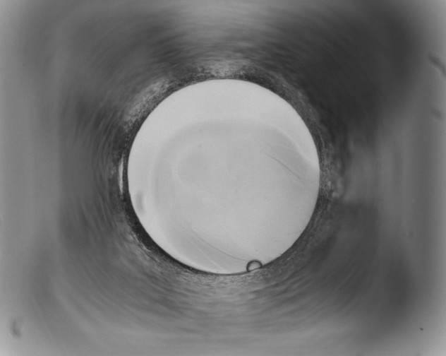 X0000103960019200810311625
