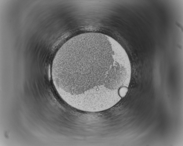 X0000103960020200810311625