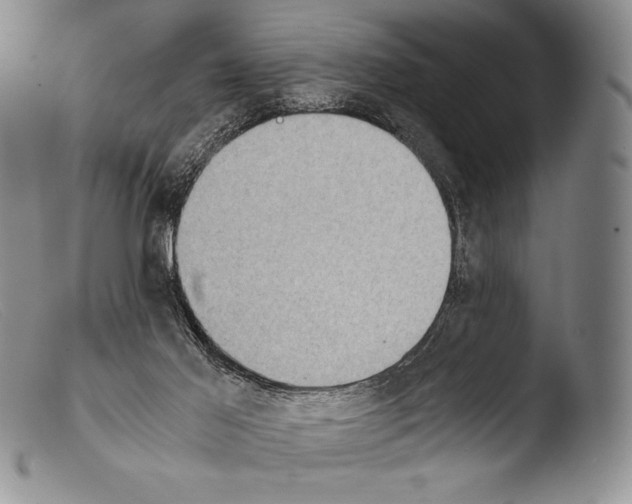 X0000103960021200810311625
