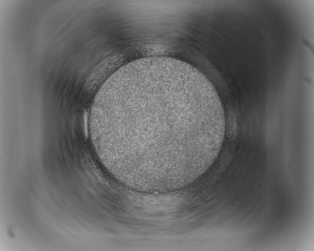 X0000103960022200810311625