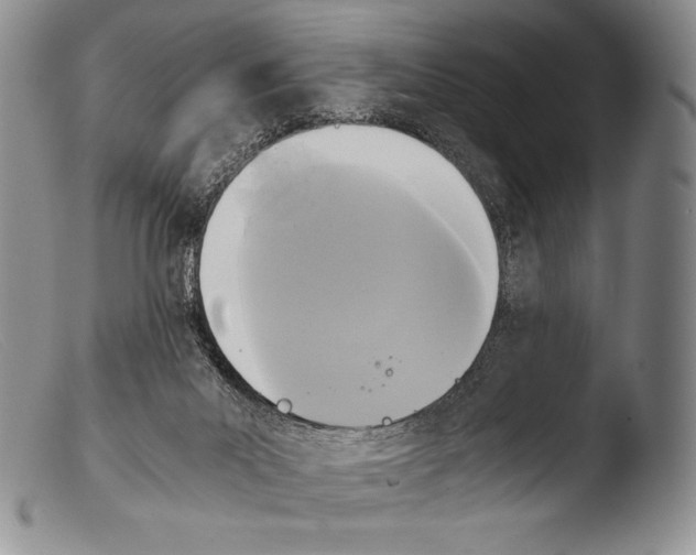 X0000103960023200810311625