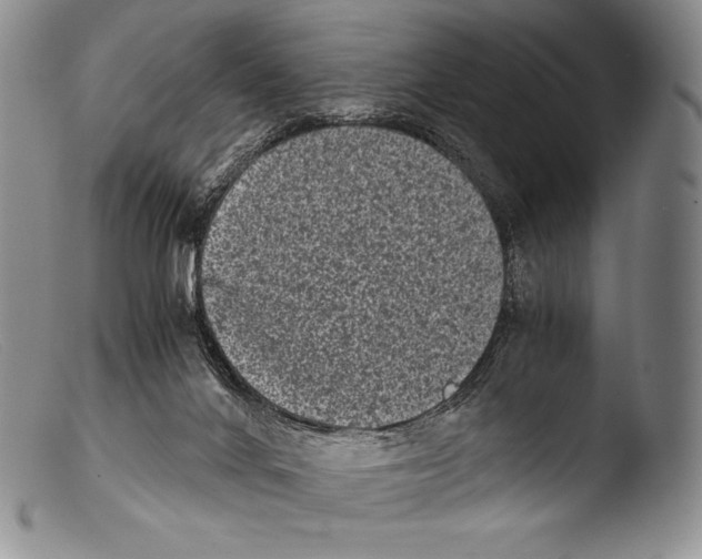 X0000103960024200810311625