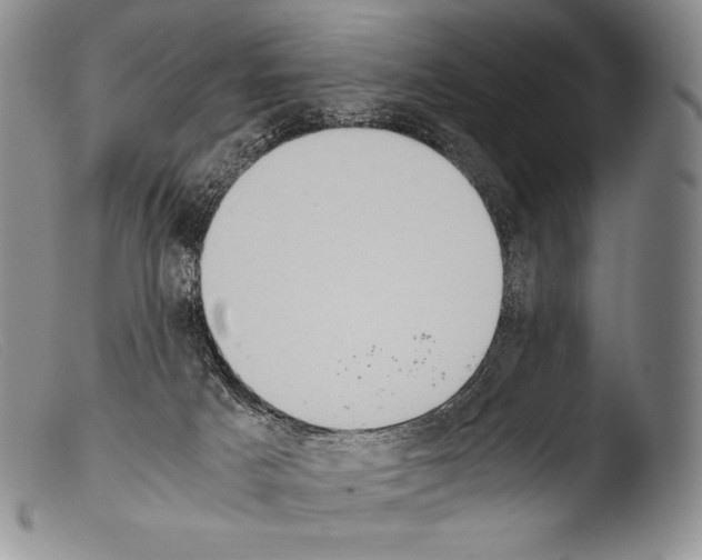 X0000103960025200810311625
