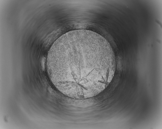 X0000103960026200810311625