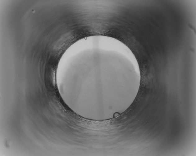 X0000103960027200810311625