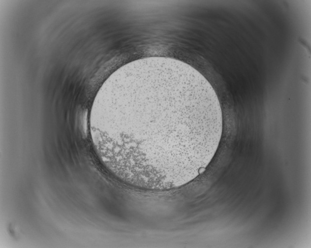 X0000103960028200810311624