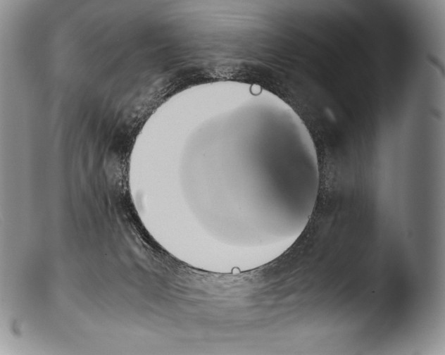 X0000103960031200810311624