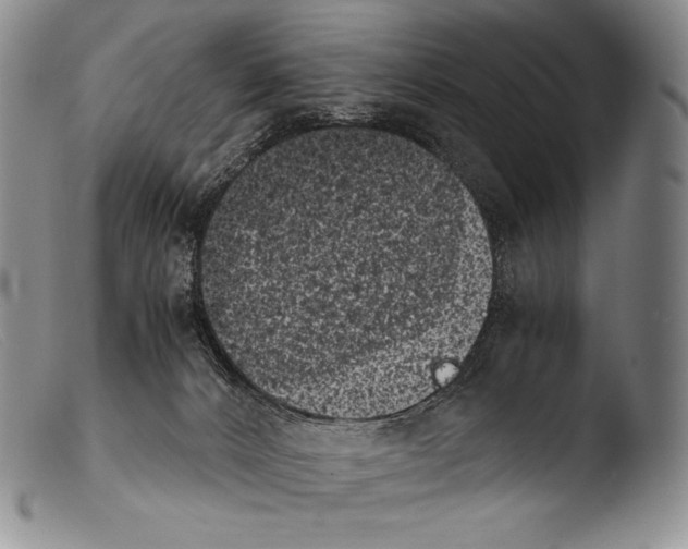 X0000103960032200810311624