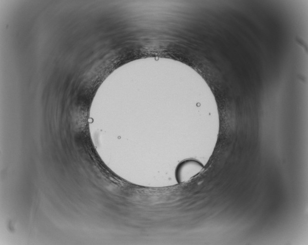 X0000103960033200810311624