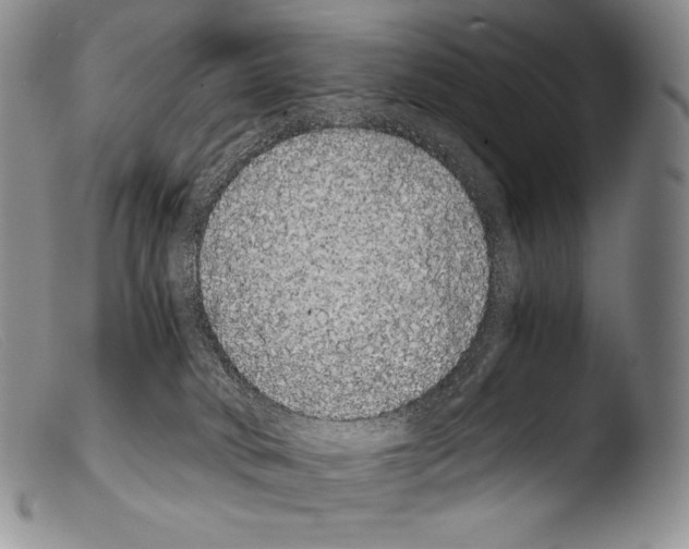 X0000103960034200810311624