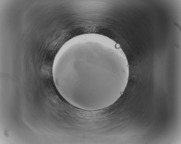 X0000103960035200810311624