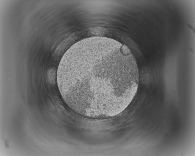 X0000103960036200810311624