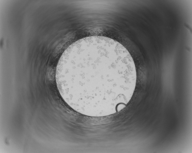 X0000103960037200810311624