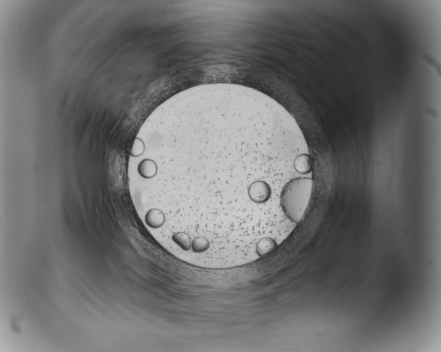 X0000103960038200810311624