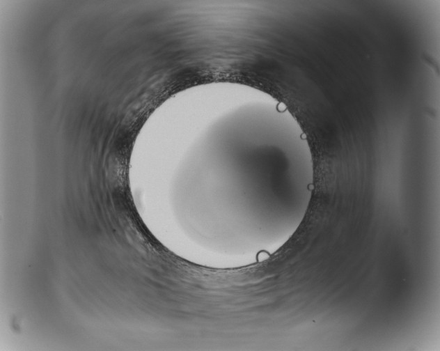 X0000103960039200810311624