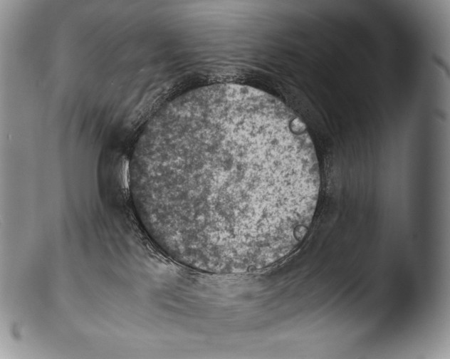 X0000103960041200810311624