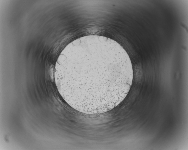 X0000103960042200810311624