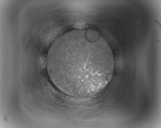 X0000103960043200810311624