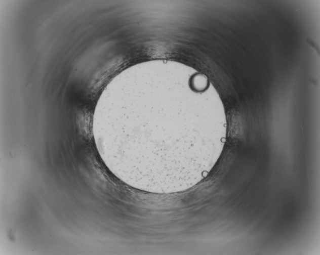 X0000103960044200810311624