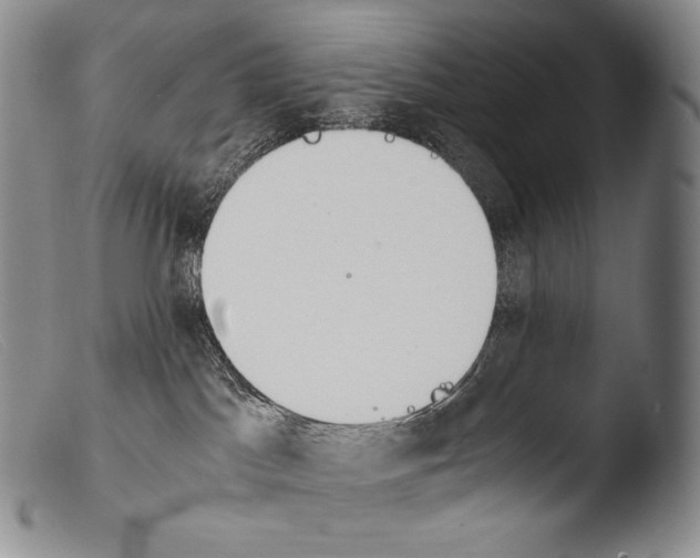 X0000103960045200810311624