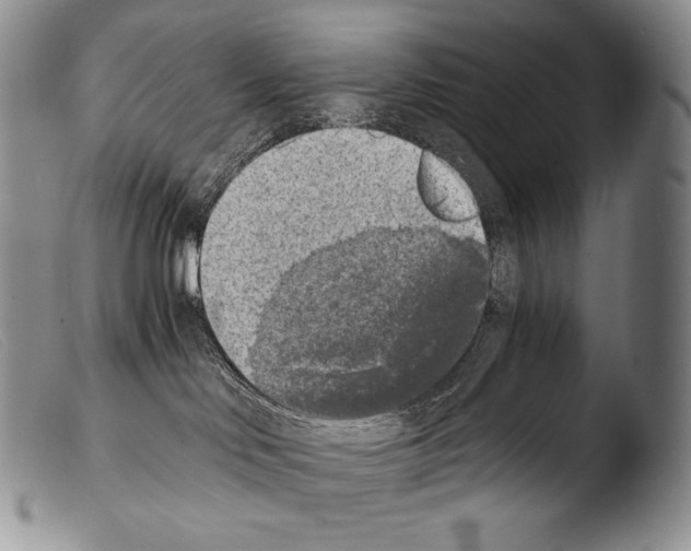 X0000103960046200810311624