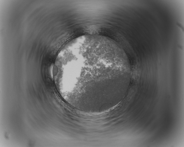 X0000103960047200810311624