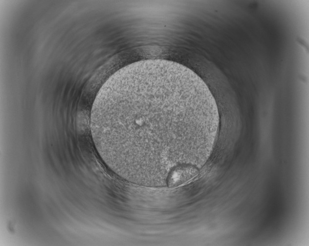 X0000103960048200810311624