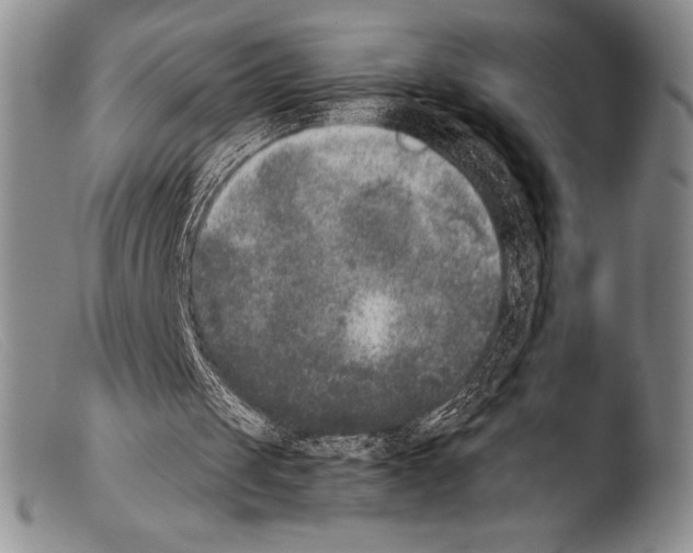 X0000103960049200810311623
