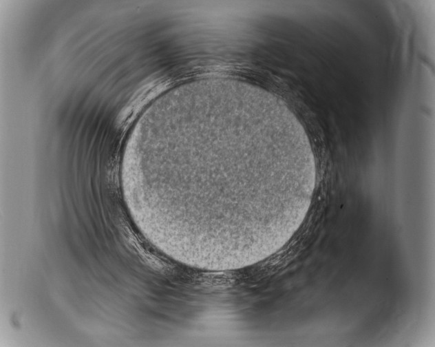 X0000103960050200810311623