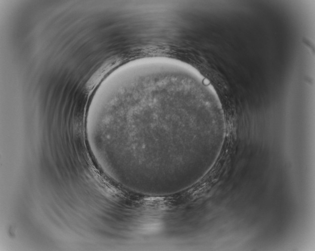 X0000103960052200810311623