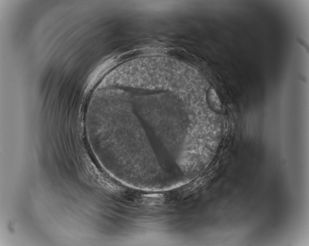 X0000103960053200810311623