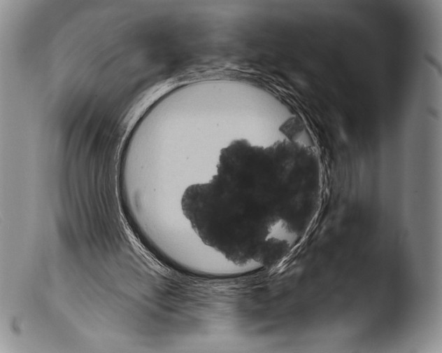 X0000103960054200810311623