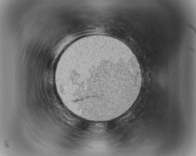 X0000103960056200810311623