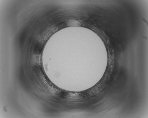X0000103960057200810311623