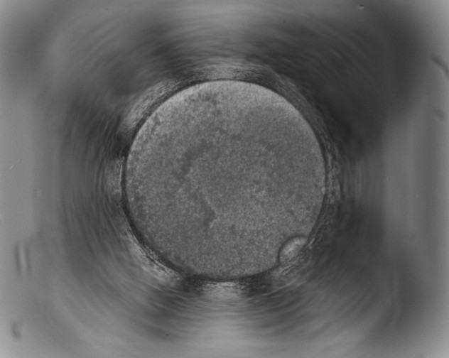 X0000103960058200810311624