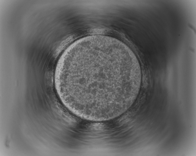 X0000103960059200810311624