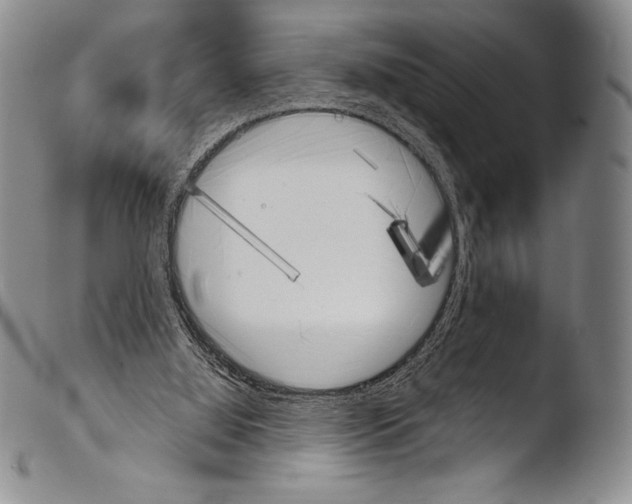 X0000103960060200810311624