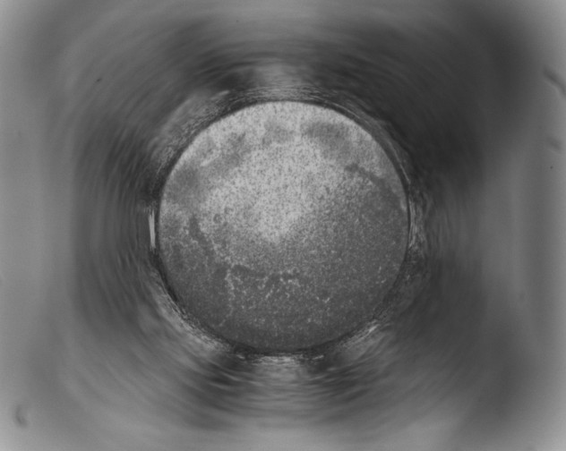 X0000103960061200810311624