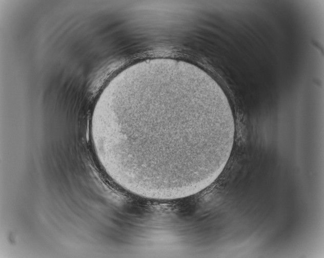 X0000103960062200810311624