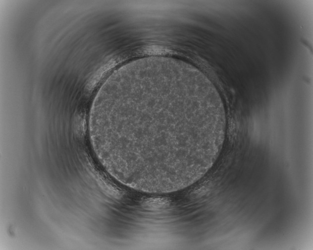 X0000103960063200810311624