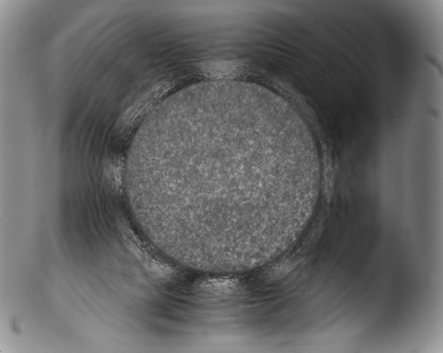 X0000103960065200810311624