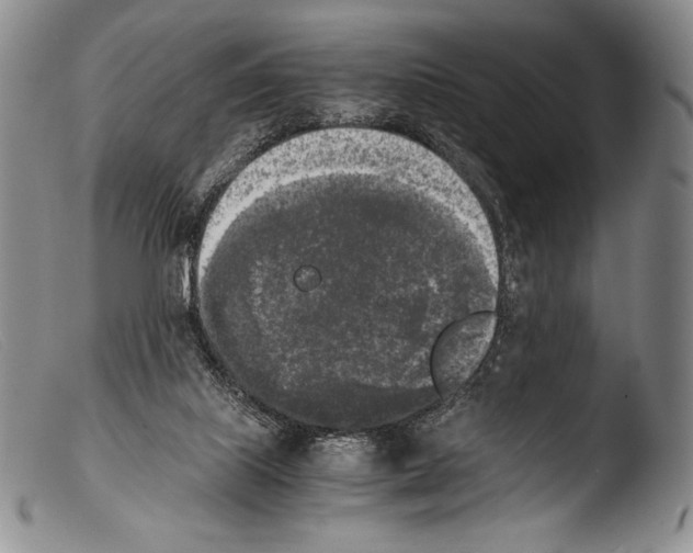X0000103960067200810311624